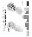 Fig. 58 - Multi Plasmid System For The Production Of Influenza Virus