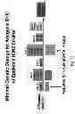 Fig. 62 - Multi Plasmid System For The Production Of Influenza Virus