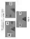 Fig. 69 - Multi Plasmid System For The Production Of Influenza Virus