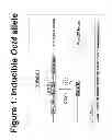 Fig. 02 - Methods for reprogramming somatic cells