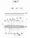 Fig. 09 - Liquid crystal display and repairing method thereof