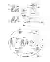 Fig. 02 - Data message service controller and method for handling emergency text messaging