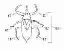 Fig. 01 - Static Electric Toy
