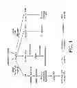 Fig. 02 - METHODS FOR THE ANALYSIS OF BREAST CANCER DISORDERS