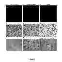 Fig. 22 - METHODS OF INHIBITING TUMOR CELL AGGRESSIVENESS USING THE MICROENVIRONMENT OF HUMAN EMBRYONIC STEM CELLS
