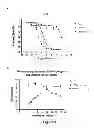 Fig. 02 - Selective sigma-1 receptor ligands