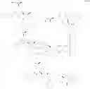 Fig. 131 - Cephem compound having catechol group