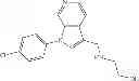 Fig. 167 - Inhibitor compounds of semicarbazide-sensitive amine oxidases