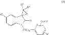 Fig. 15 - NOVEL CYCLOPROPANE INDOLINONE DERIVATIVES