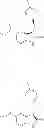 Fig. 181 - NOVEL CYCLOPROPANE INDOLINONE DERIVATIVES