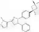 Fig. 19 - INHIBITORS OF AKT ACTIVITY