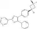 Fig. 20 - INHIBITORS OF AKT ACTIVITY
