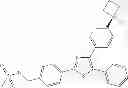 Fig. 24 - INHIBITORS OF AKT ACTIVITY