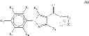 Fig. 06 - Compositions and methods for stimulating collagen synthesis in the skin