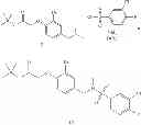 Fig. 41 - Biaryl oxyacetic acid compounds
