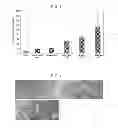 Fig. 03 - Transglutaminase inhibitors and methods of use thereof