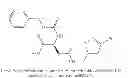 Fig. 09 - Transglutaminase inhibitors and methods of use thereof
