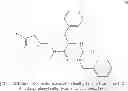 Fig. 16 - Transglutaminase inhibitors and methods of use thereof