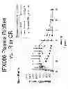Fig. 02 - Controlled release formulations of levodopa and uses thereof