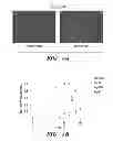 Fig. 08 - METHODS FOR SELECTIVE SILENCING OF SENSORY NEURONS