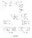 Fig. 02 - Synthetic process for aminocyclohexyl ether compounds
