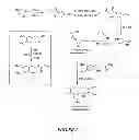 Fig. 06 - Synthetic process for aminocyclohexyl ether compounds
