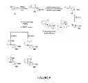 Fig. 07 - Synthetic process for aminocyclohexyl ether compounds
