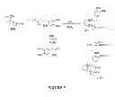 Fig. 08 - Synthetic process for aminocyclohexyl ether compounds