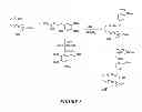 Fig. 09 - Synthetic process for aminocyclohexyl ether compounds