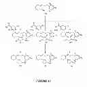 Fig. 17 - Synthetic process for aminocyclohexyl ether compounds
