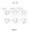 Fig. 22 - Synthetic process for aminocyclohexyl ether compounds