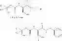 Fig. 11 - PROCESS FOR THE PREPARATION OF LACOSAMIDE