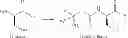 Fig. 20 - PROCESS FOR THE PREPARATION OF LACOSAMIDE