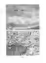 Fig. 07 - METHOD FOR TREATING OSTEOSARCOMA BY BORON NEUTRON CAPTURE THERAPY USING BORIC ACID AS A BORON DRUG