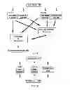 Fig. 08 - System and method for wireless generation of standard ECG leads and an ECG sensing unit therefor