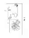 Fig. 02 - Atlas-based analysis for image-based anatomic and functional data of organism