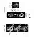 Fig. 08 - Atlas-based analysis for image-based anatomic and functional data of organism