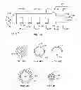 Fig. 07 - Minimally invasive lung volume reduction devices, methods, and systems