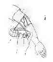 Fig. 02 - Micro vein enhancer for use with a vial holder