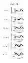 Fig. 30 - Biological photometric device and biological photometry method using same