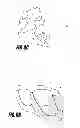 Fig. 08 - Catheter-based tissue remodeling devices and methods