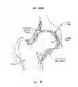 Fig. 07 - Method and apparatus for re-attaching the labrum to the acetabulum, including the provision and use of a novel suture anchor system