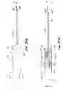 Fig. 20 - Suture anchor kit