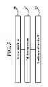 Fig. 06 - Facet screw system and method