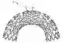 Fig. 01 - Iron Based Alloys for Bioabsorbable Stent