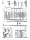 Fig. 02 - NAVIGATION SYSTEM, TERMINAL APPARATUS, NAVIGATION SERVER, NAVIGATION APPARATUS, NAVIGATION METHOD, AND COMPUTER PROGRAM PRODUCT