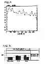 Fig. 06 - Operating methods for voice activity detection/silence suppression system