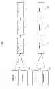 Fig. 06 - PROMOTING PHARMACEUTICAL PRODUCTS