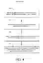Fig. 05 - PATIENT IDENTIFICATION