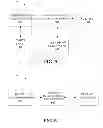 Fig. 05 - Systems and methods for establishing transactions utilizing a data store of billing information
